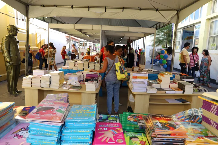 Estandes de livros recebem visitantes na FLI 2023